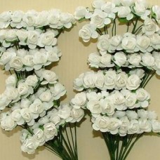 Medium Paper Roses 12p/p WHITE